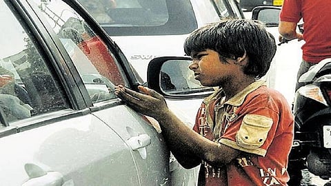 सुशिक्षित, सुसंस्कृत लोकं नियम पाळत नाही, मग केवळ भिकाऱ्यांना दोष का द्यायचा; हायकोर्टाने याचिकादाराला सुनावले...