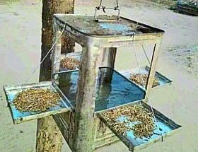 Best from West open cage made for birds