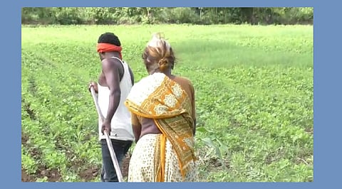 akola news Instead of oxen, a widow carries a shovel on her son's shoulders