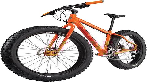 Bicycle prices rise by 10 per cent in a week