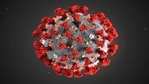 c0481846-wuhan_novel_coronavirus_illustration-spl.jpg