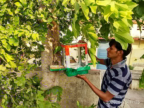 चांपा :  पक्षांच्या दाणापाण्यासाठी झाडांवर परळ लटकविताना सरपंच आतीश पवार.