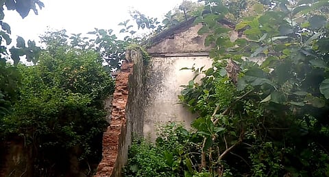 Vamanpalli in Chandrapur was the favorite hunting ground of the British