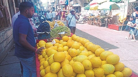 महाड : बाजारात आलेले कॅनरी चिबूड.