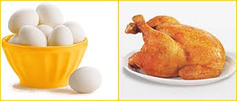 chicken and eggs.jpg