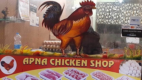 धास्ती 'बर्ड फ्लू'ची; चिकनसह अंड्याची मागणी घटली