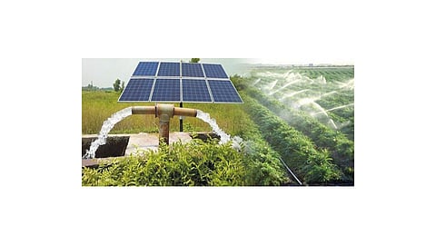 cm solar agricultural pump scheme in ratnagiri kokan marathi news