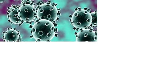 In order to allow the report of the son of the father affected by the coronation to come positive, Sakade said