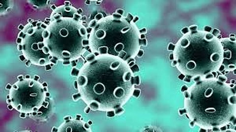 Coronavirus one corona petient Dies in Baramati