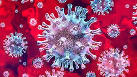 only five days the youth starts a covid center mangaon in kolhapur