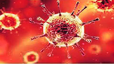 more 18 corona patients found in ratnagiri total count 20327