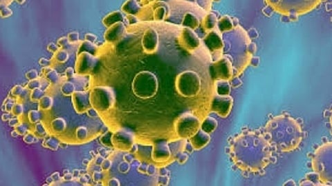 Aurangabad corona updates