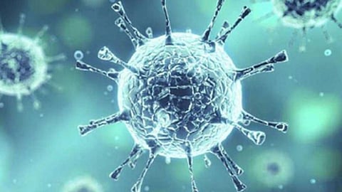 Coronavirus : कोरोना निदानासाठी राज्यात 24 प्रयोगशाळा