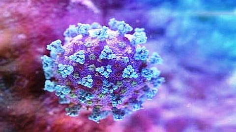 मुंबईतील 'हा' भाग आजही ठरतोय कोरोनाचा हॉटेस्ट स्पॉट, मुंबईकर 100 टक्के काळजी घायलाच हवी