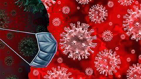 corona-virus-25199.jpg