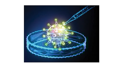 घरामध्येच करता येणार कोरोना चाचणी; ‘आयआयटी’, ‘एनसीएल’कडून तयार होतेय किट