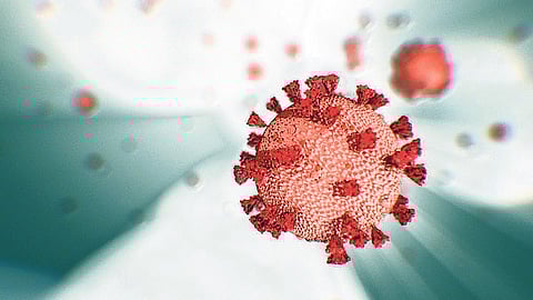 coronavirus