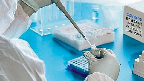 अवघ्या पाच मिनिटांत कोरोनाची चाचणी;अमेरिकेतील संशोधकांकडून अल्ट्रासेन्सिटिव्ह किट विकसित