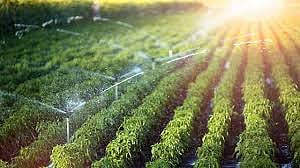 Akola News: Water demand applications invited till December 15