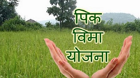 Farmer crop insurance