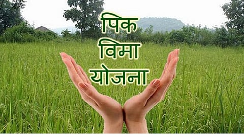 Farmer crop insurance