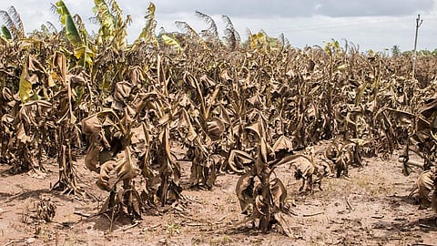 When will we get Rs 25 crore