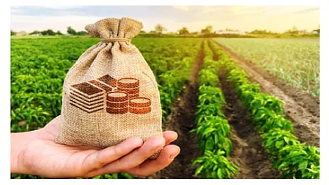 The deadline for Akola Marathi News crop insurance is July 31