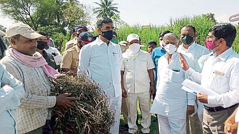 शेतकऱ्यांच्या मदतीसाठी सरकार कटिबद्ध : गृह राज्यमंत्री देसाई