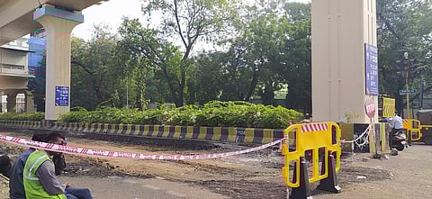 accidents were increased by overgrown trees