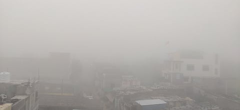 Akola News: Dense fog ... cold in it, curiosity of children, blow to crops