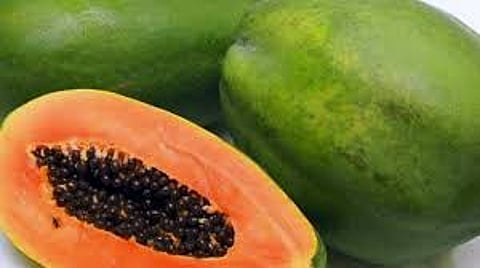 papaya