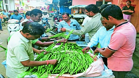 शेवग्याच्या शेंगांचा भाव उतरला