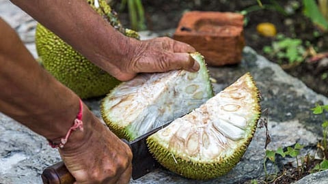 jackfruit 5-health-benefits