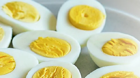 egg