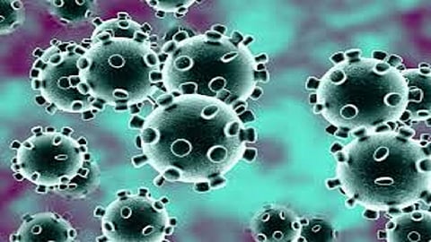 entry ban in 26 Village near Panshet due to one woman found Infected with Corona Virus.jpgentry ban in 26 Village near Panshet due to one woman found Infected with Corona Virus.jpg