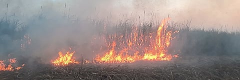 sugarcane field sets fire in valava taluka