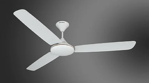 fan.