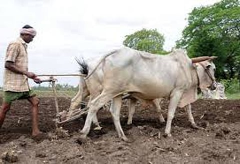 Thousands of farmers deprived of Shetkari Sanman Yojana
