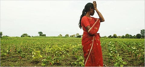 farmer commited suicide akola.jpg