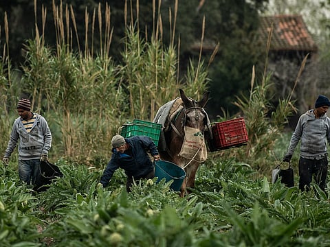 farmer not available worker