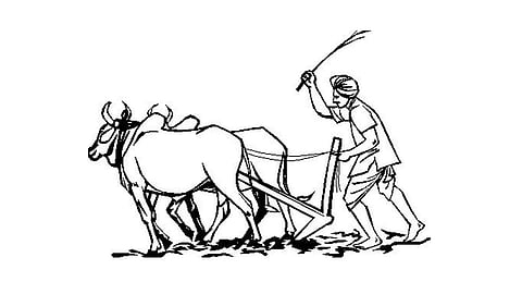 पेरणीची घाई करु नका!; कृषी तज्ज्ञांचे शेतकऱ्यांना आवाहन