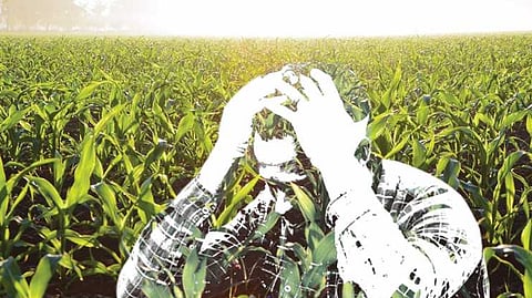 Farmer commits suicide