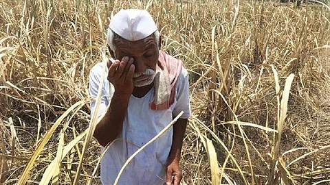 many farmers in yavatmal district did not get their loans back from banks