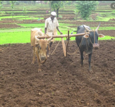 farming