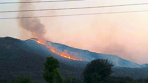  fire in the western part of Baglan destroyed Hundreds of acres of forest Nashik News