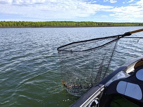 fishing-net