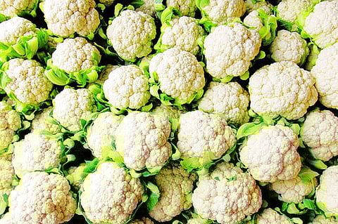 Flowers have been stolen from a plateau in Sangamner taluka