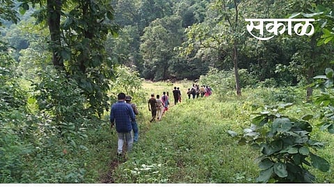 सातपुडामधील यावल वनक्षेत्रातील जैवविविधता संकटात !