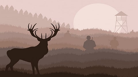 seven people hunted in forest but police search all and 3 people are abs volt volt in chiplun ratnagiri