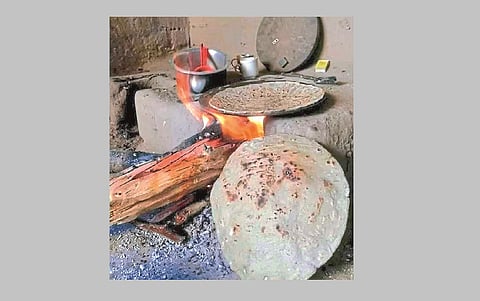 Special women's day in vihirgao at Nagpur